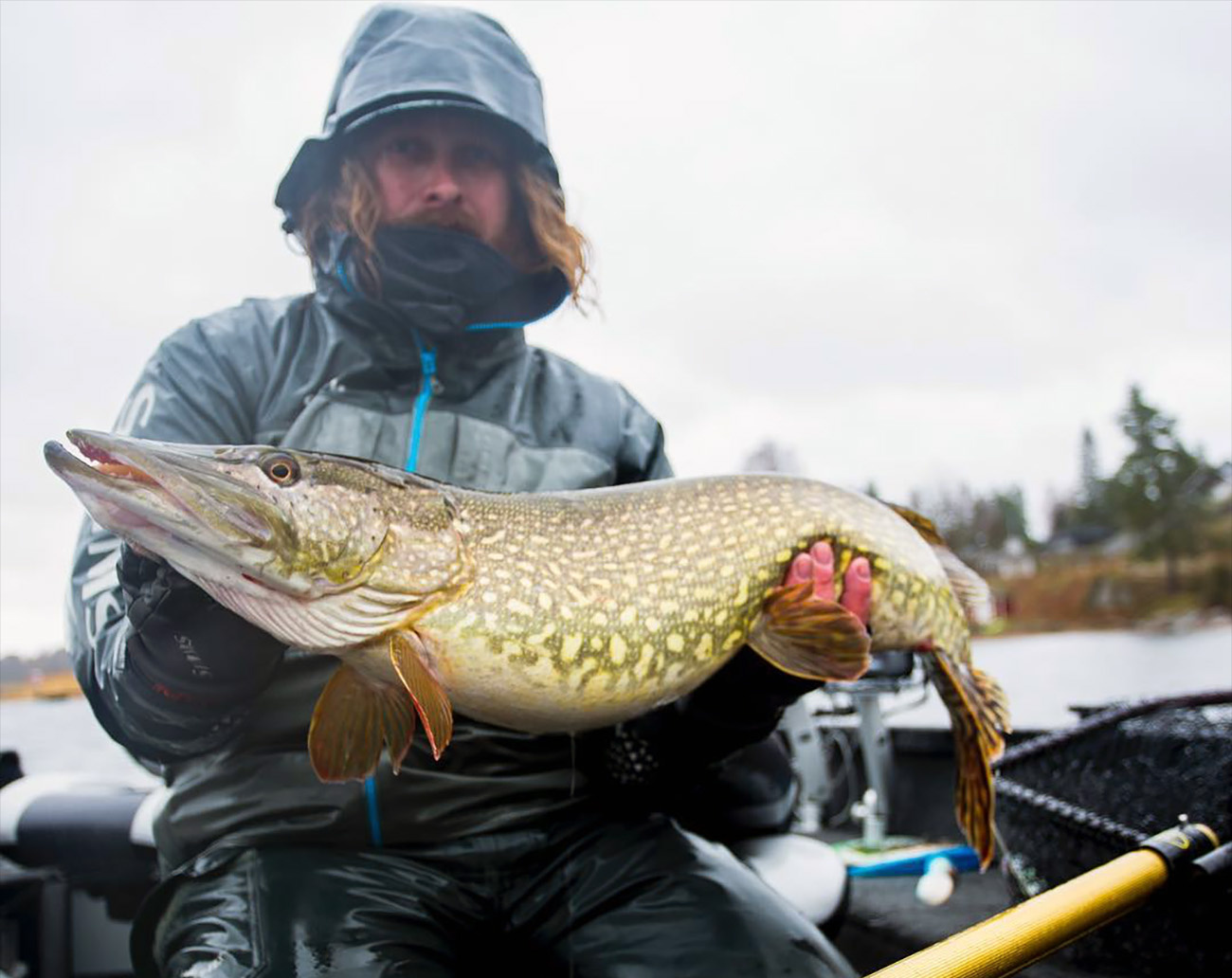 Lovely Lures Iggy Tail Jr